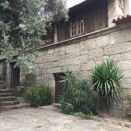 Havan House Amarante Bagian luar foto