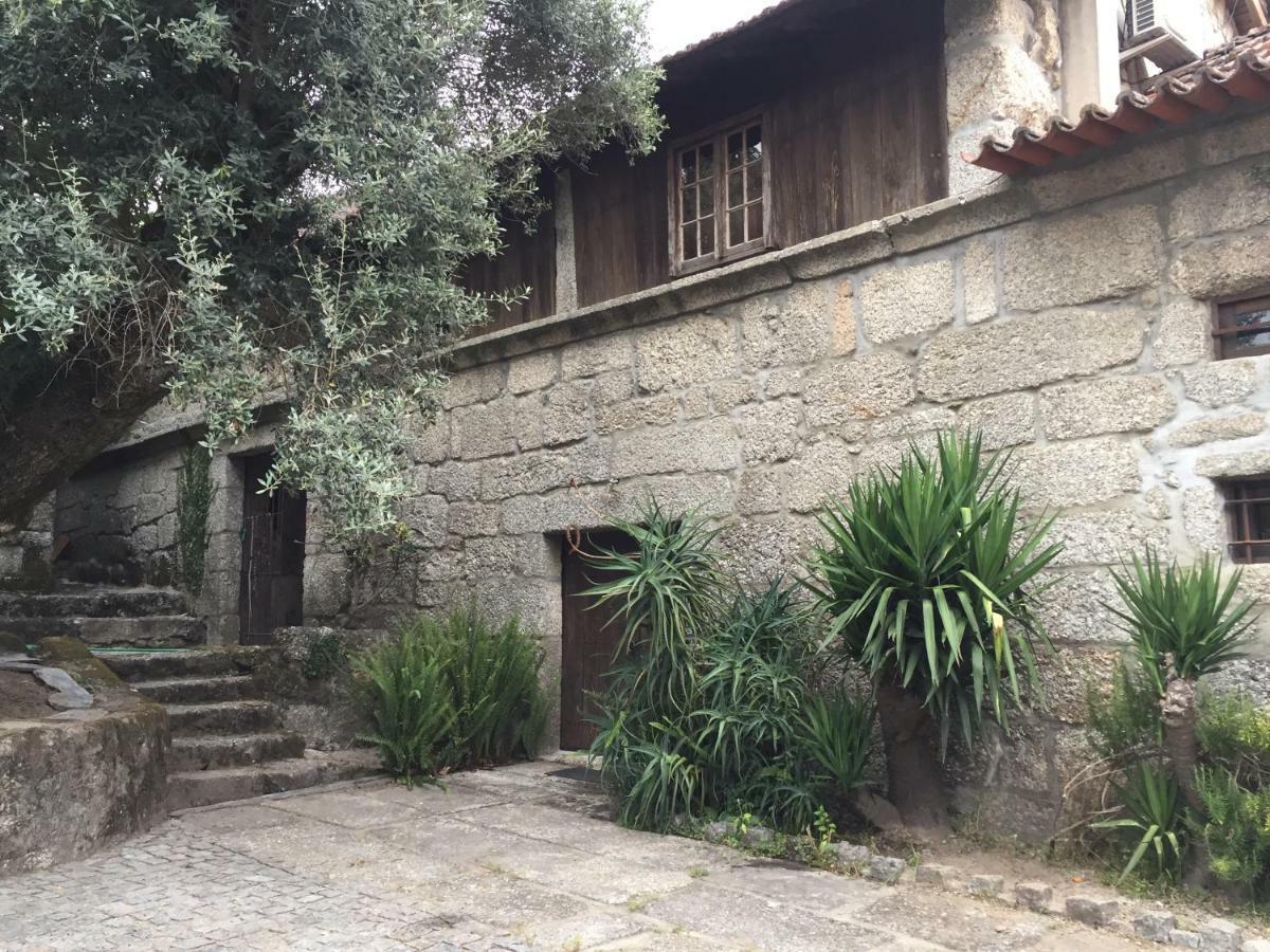 Havan House Amarante Bagian luar foto
